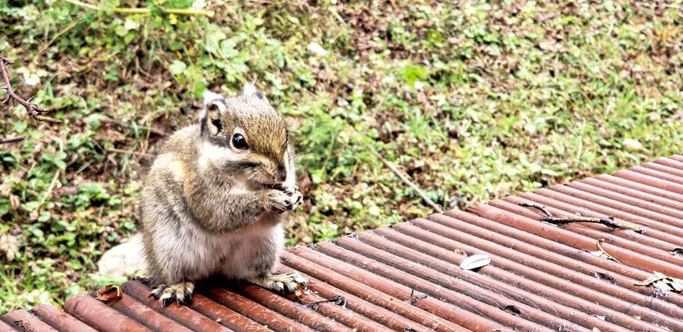 9T6eVUonT9s8hATPbnQZO0iN5YEud_2Ek7ObfAW9nl7qmHkBblikG_64J0O6gA2Y