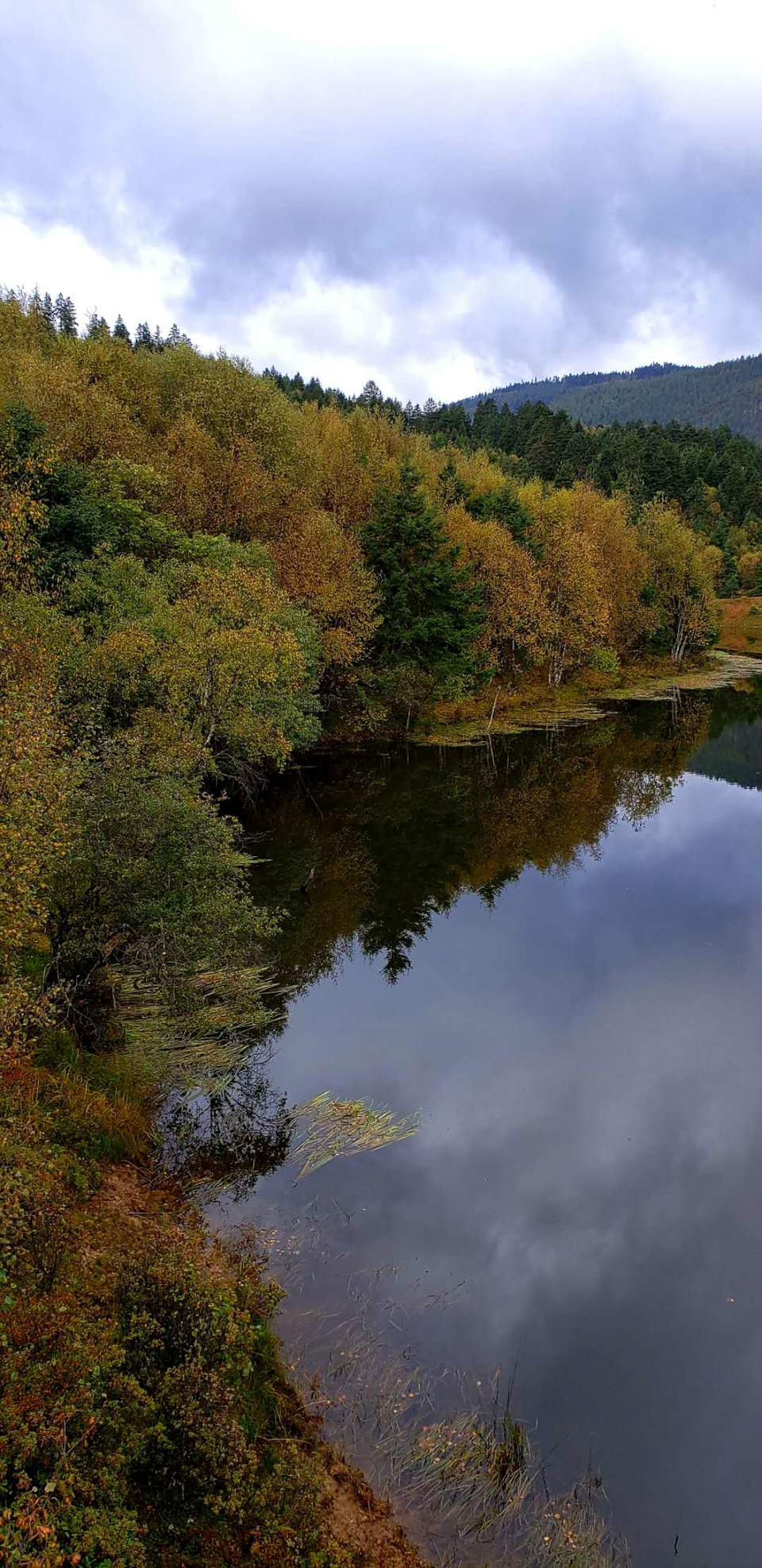 HA3s9wysJhnkHCEoVNN6o06gHL0crcnZlpi5NG8xg1iP39uWLhoXZwKj2Y0PyqGX