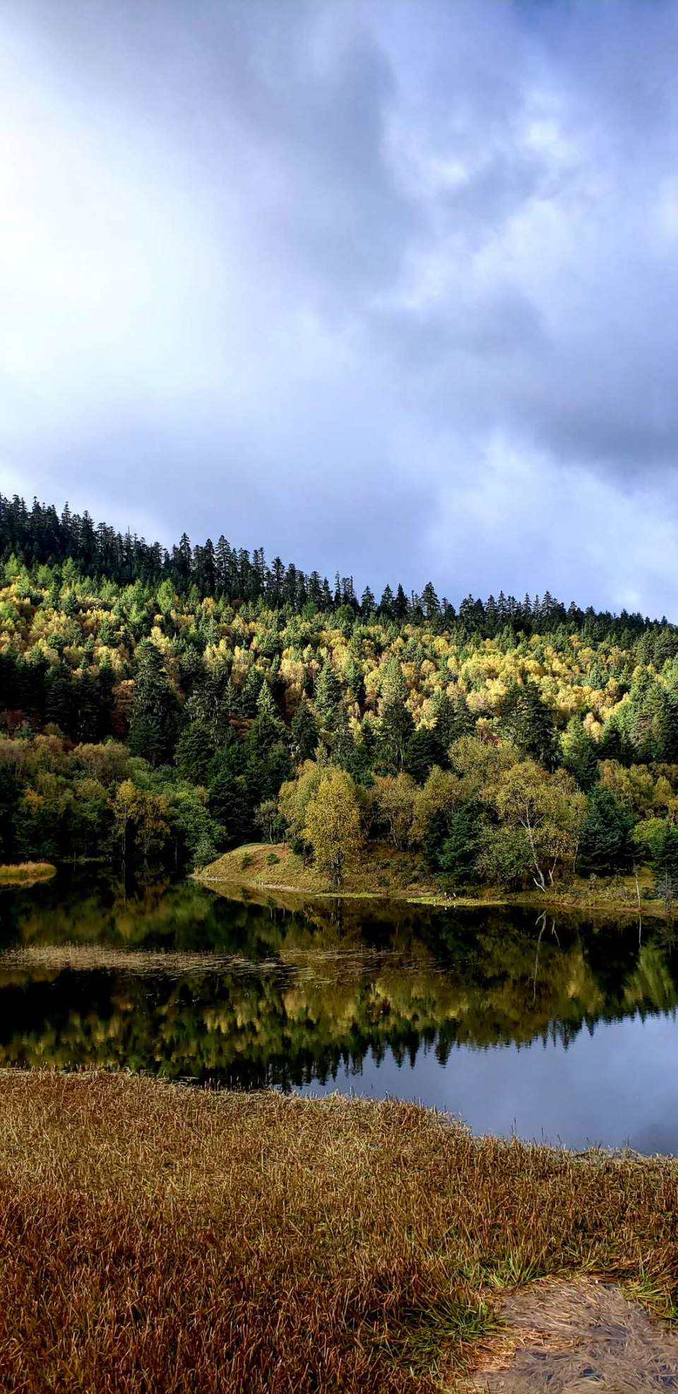 A4ELuyZ5xgrJDx38jmZx8hTPBQBwJZpLLPDZN8KwZDTUAHRrT_ScWMVHRIAAsYU3