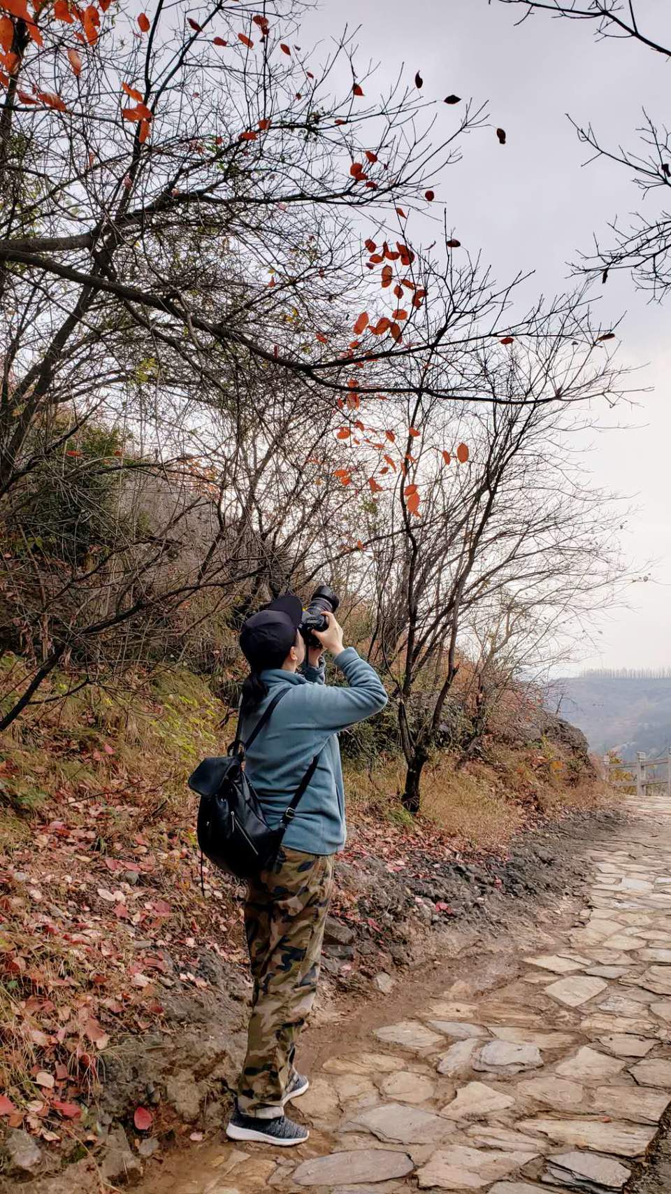 Kgf5zegN0vZNb49ZT1HmFbvsQwr5vKxjaEYcr73cU1rhrKF-7nDmVNVvi-b2CuOk