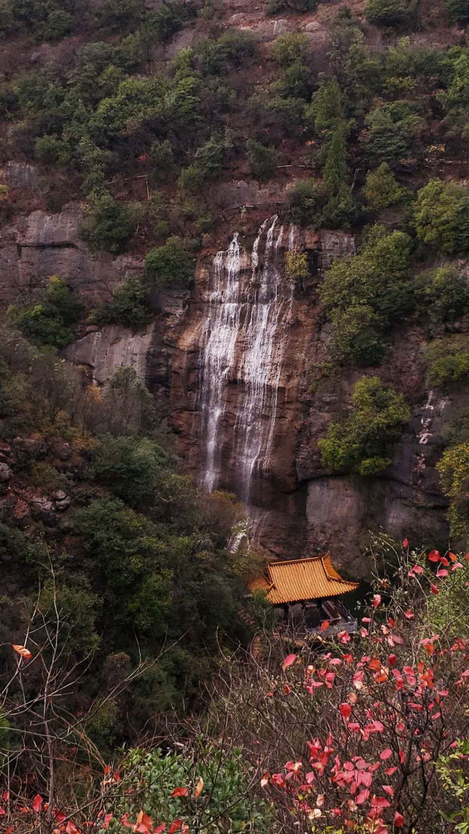 zoBqF9std-RKaQqkkuqdX9X7slqZfUika8ViYSGLjhYEdK5ner2PsRIoQomn0O3Q