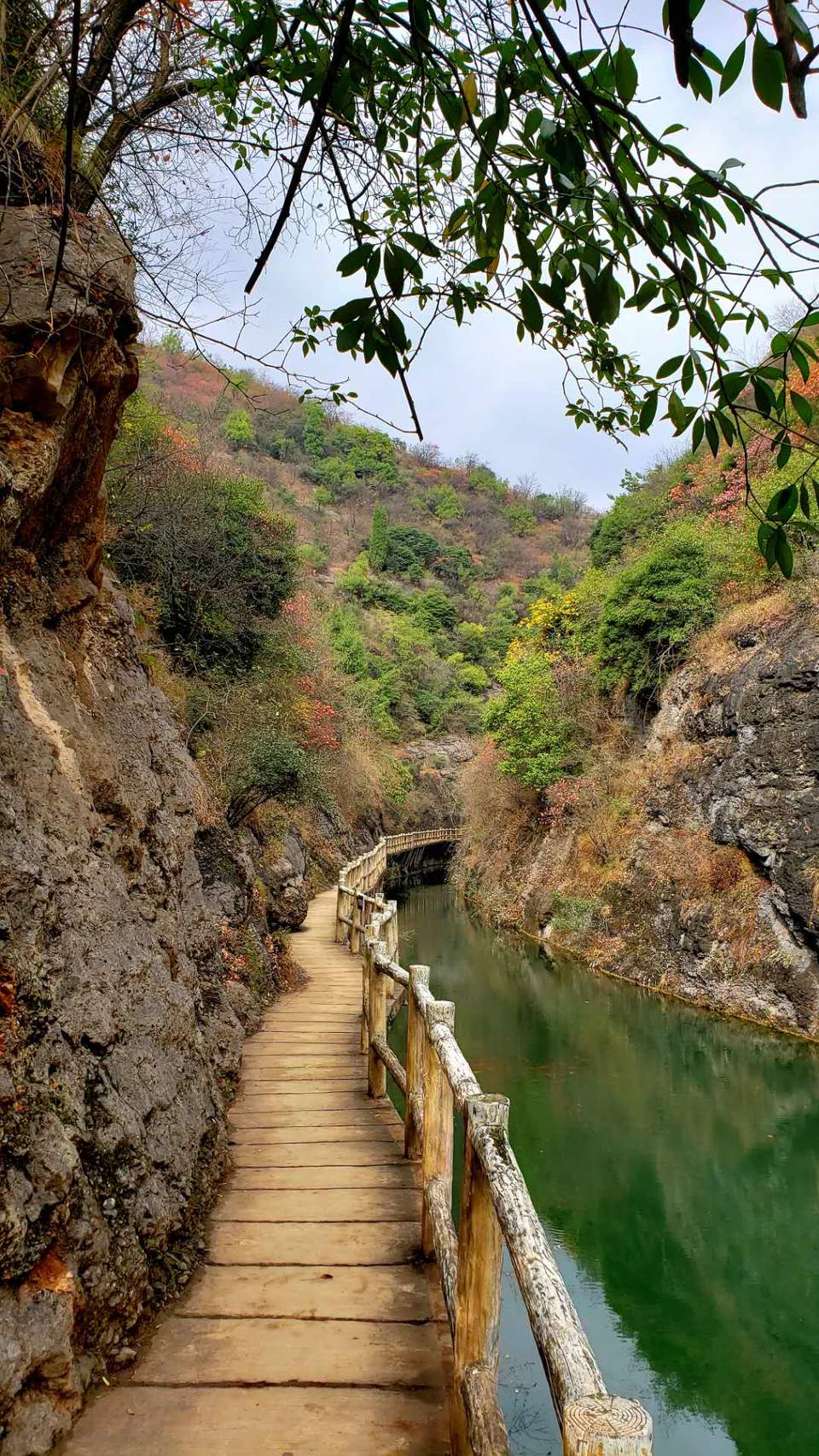 yvMOU8l9vxyko6akNk248C6fzf2CemQik7NJXb3Fzgj3z_HEt8iaACl3uI5DYe11