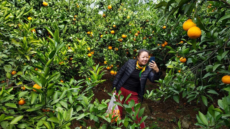 DiY3gUlbT2K8JqYxpLFP2KWasorLHYFLVELN0hK-aIINOow0Rs5LgmRw6LRLHDkE