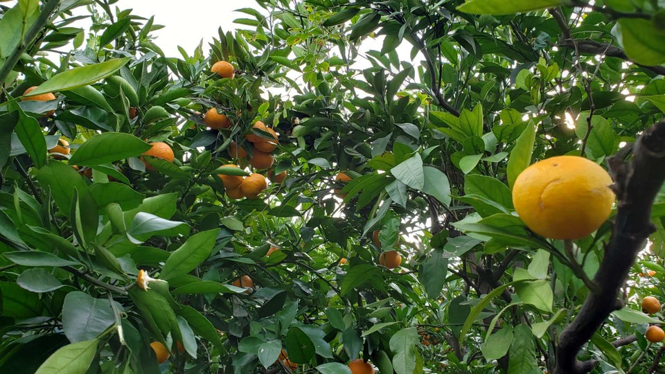 MjN5sWVhF6cn5uAn-SWzsEK3HJNbUf4El93K_S5bqWQ1eUvId_9lywgxGpeIApcj