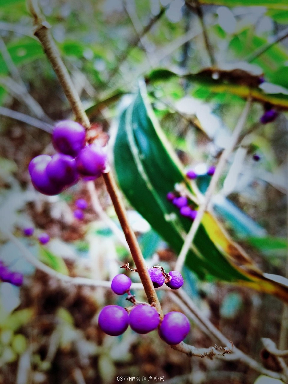 uri_mh1572702989560_mr1572702998980