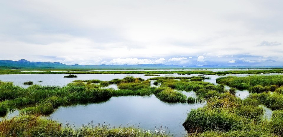 uri_mh1597209045935_mr1597209053709