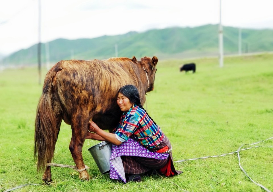 uri_mh1597288509243_mr1597288515700