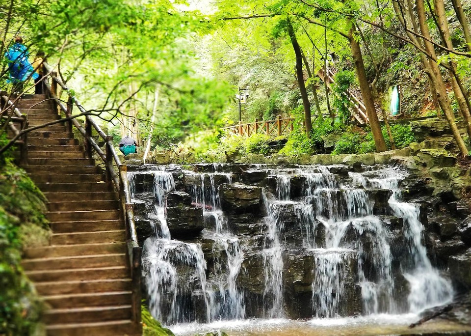 微信图片_202009240921197