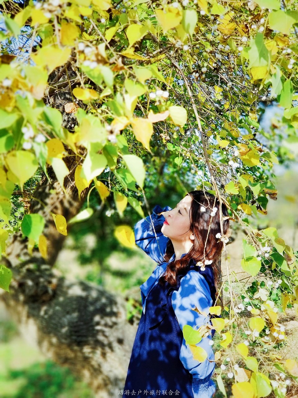 uri_mh1604738460127_mr1604738466775