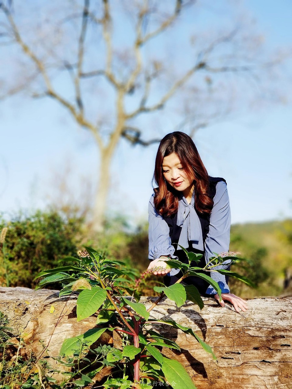 uri_mh1604738754336_mr1604738762274