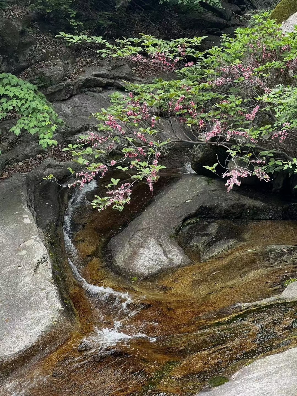 72iXIseDLku5JII7tshIeZruMaTohPYtz1jyyJ10A3AF3kxq6DXhyMqjXgCQA4GH