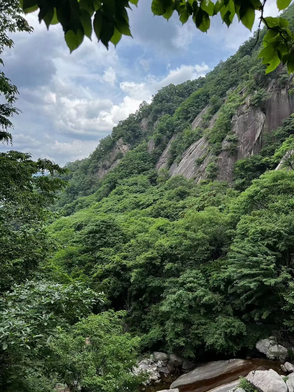 72iXIseDLku5JII7tshIefQrsGtGPuTgOWgKDlG8h6orIfoly_c9tMR8hWp3d959