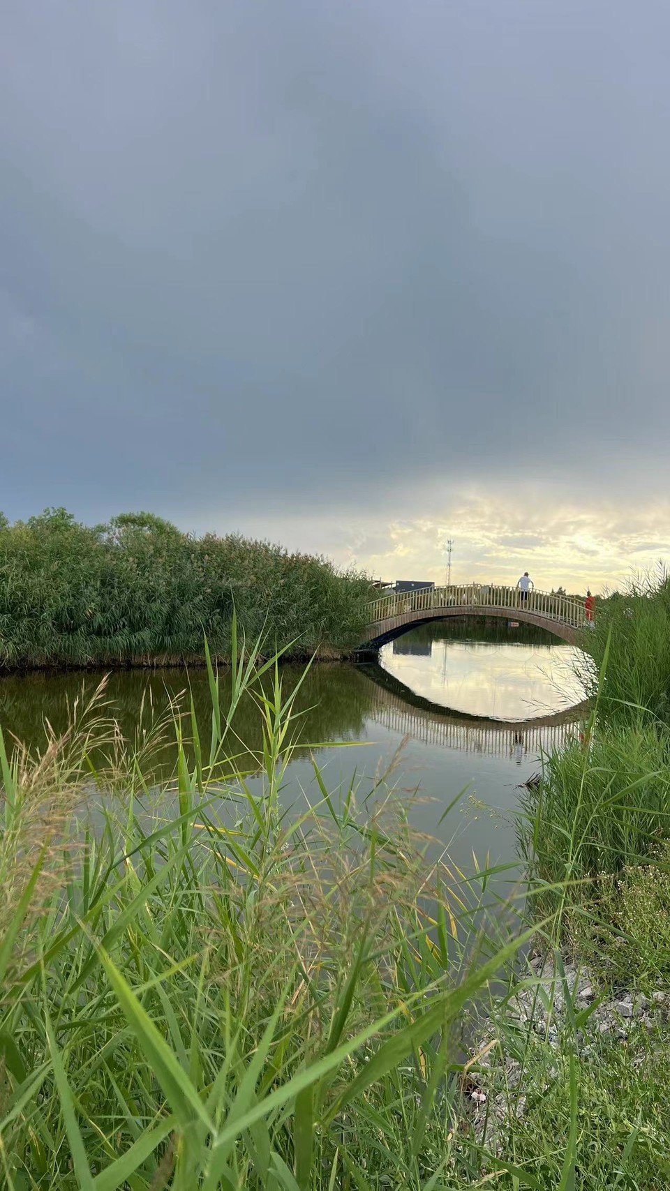 微信图片_20240813100743