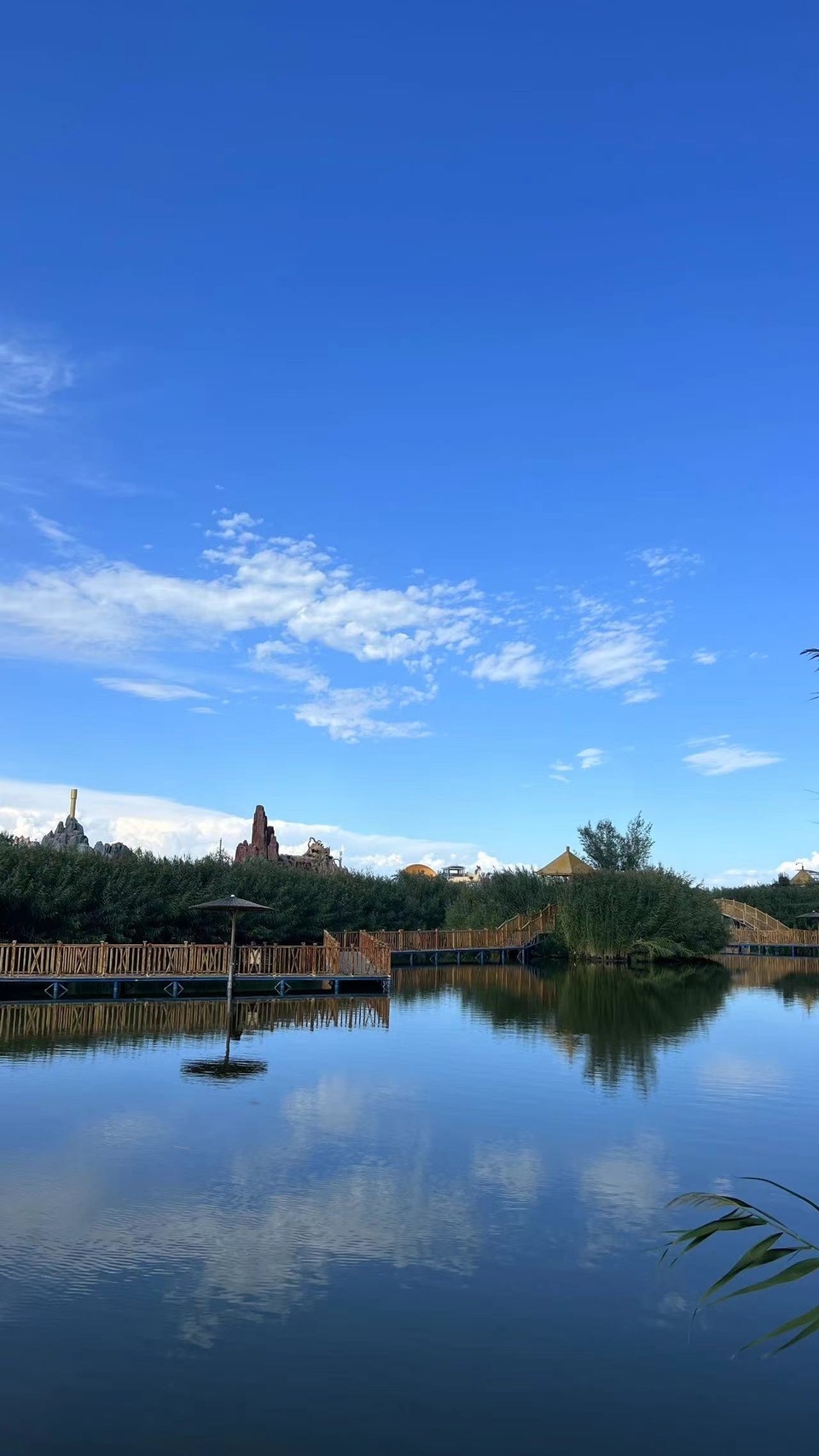 微信图片_20240813100752