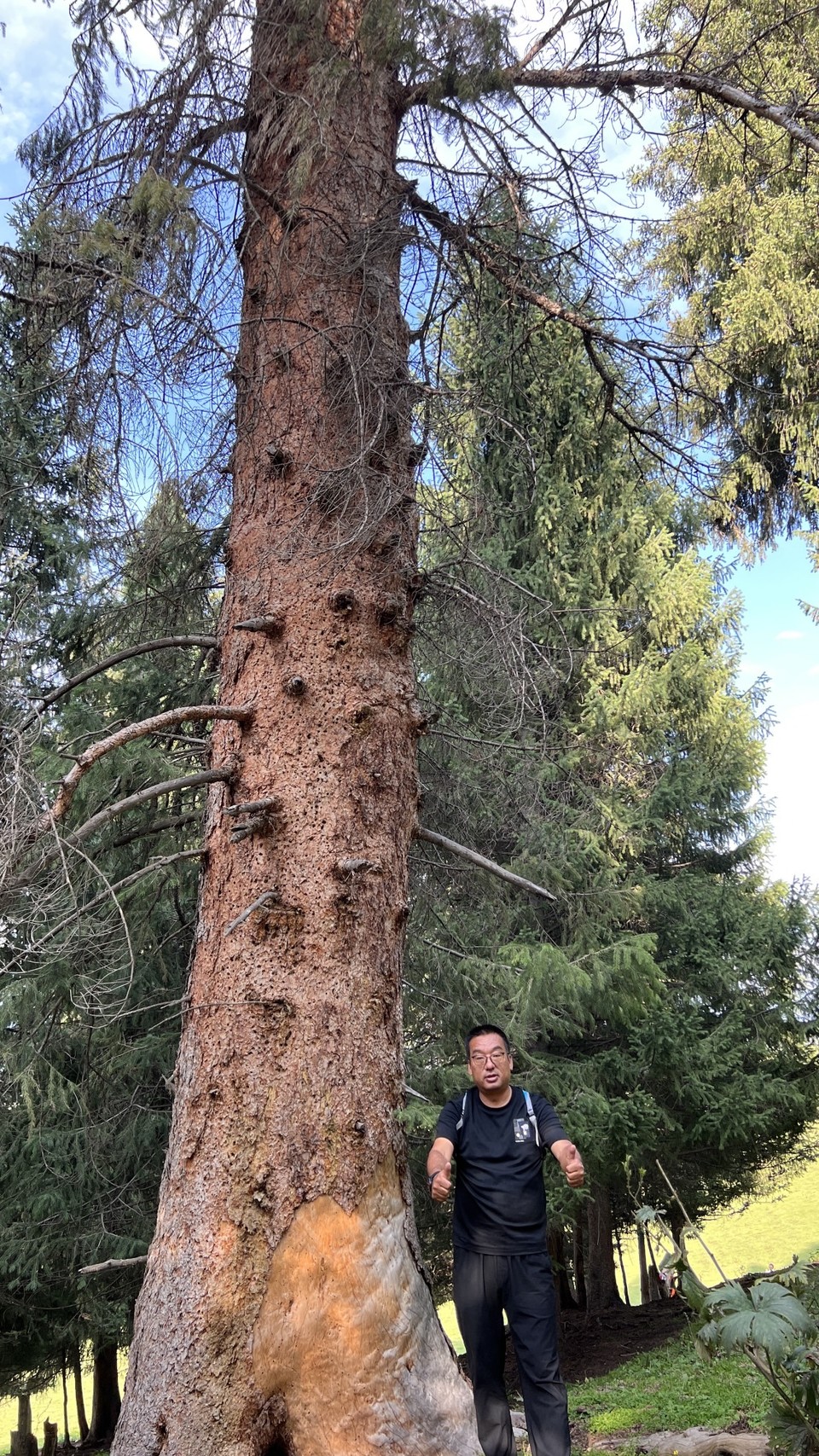 微信图片_20240821102335