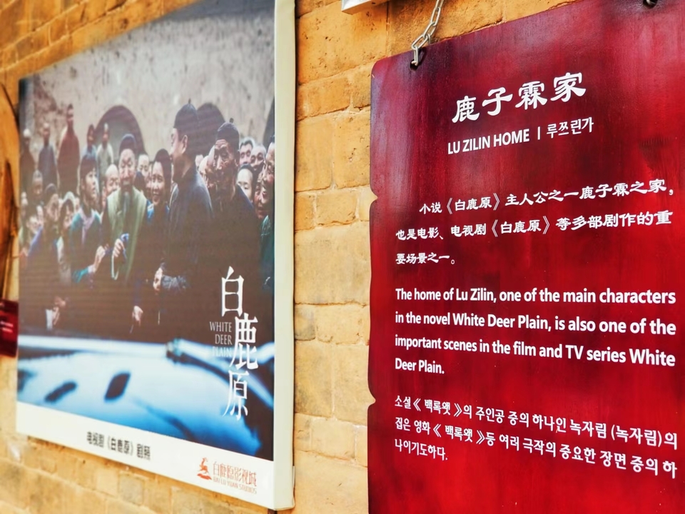 微信图片_20241005103000