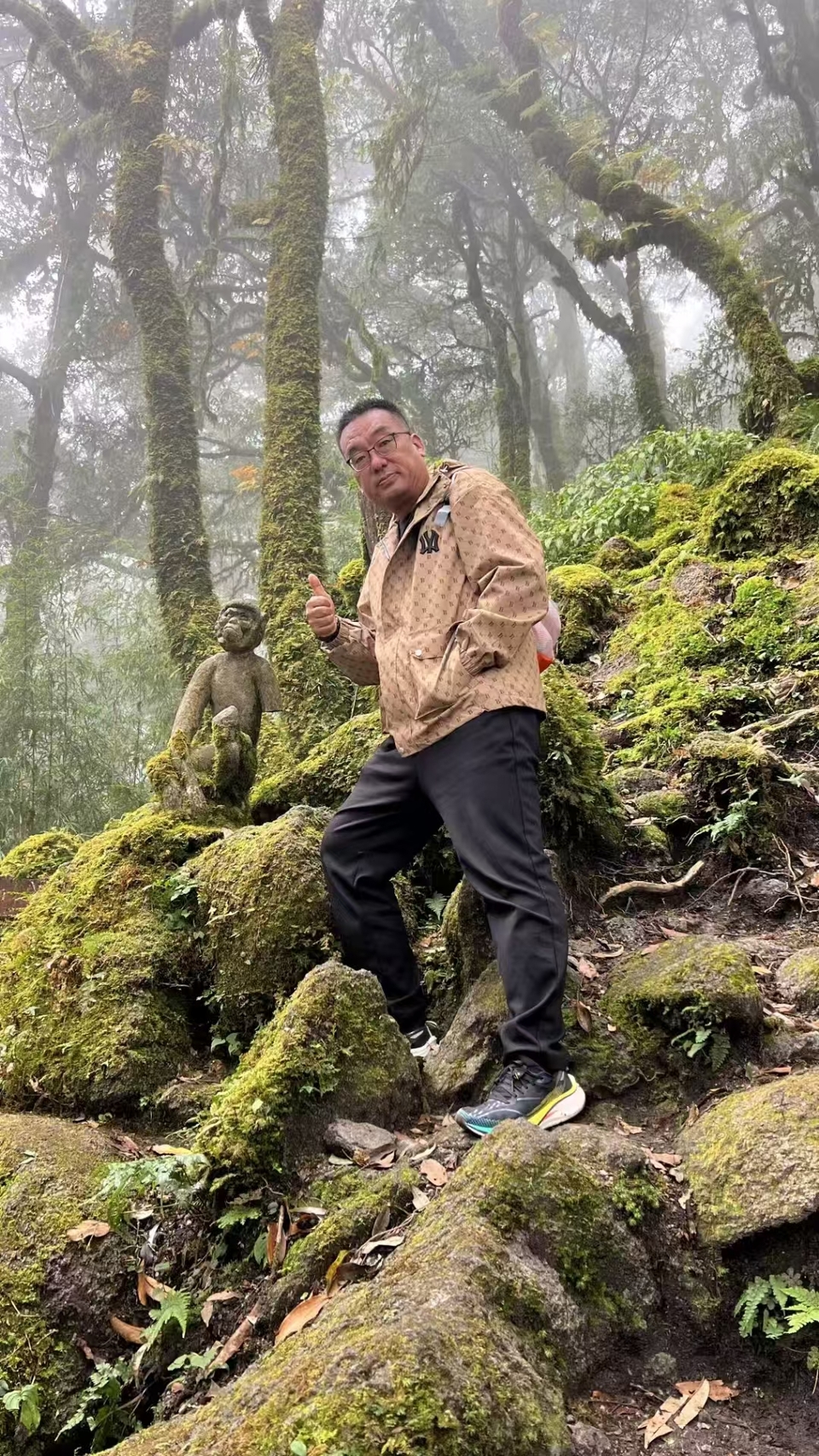 哀牢山，金山原始森林 (1)