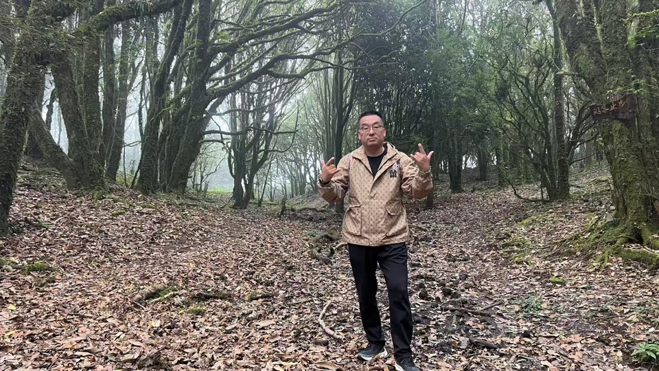 哀牢山，金山原始森林 (2)