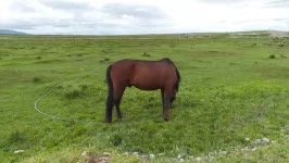 A0BD6A61-090E-4347-8889-F913BE6A2B6C