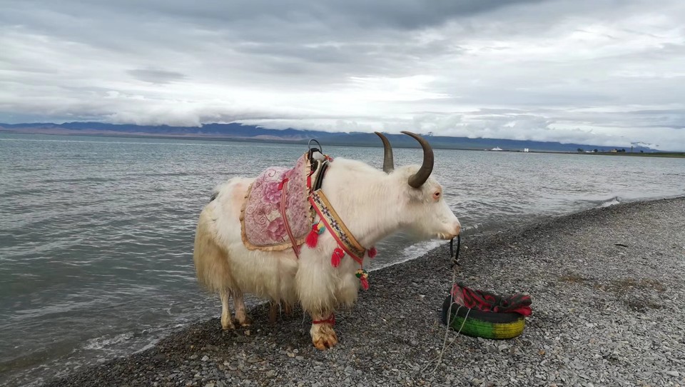 4F39CF05-9990-41D1-9410-6D183B516FFC