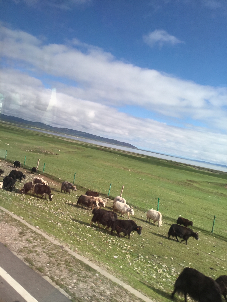 8C4DFAC7-BF49-4C56-9C5A-17B53992D69D