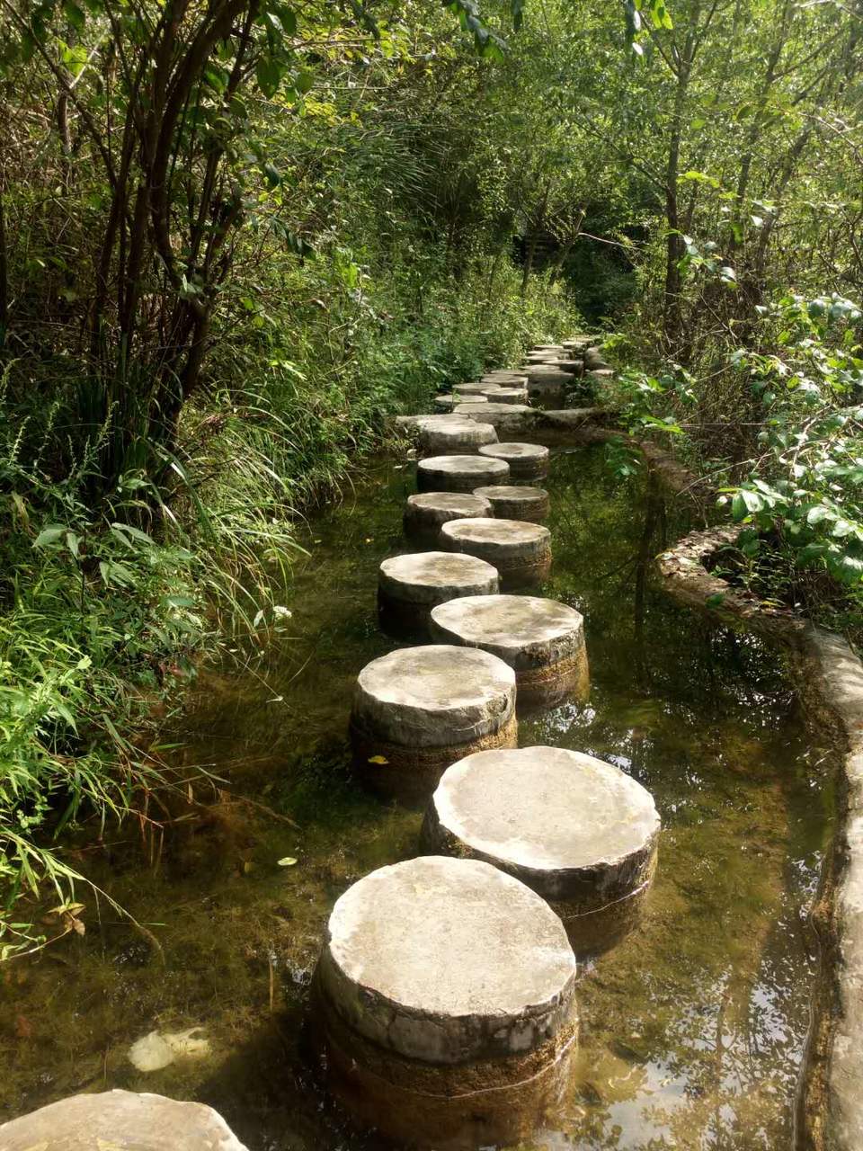 mSi7mPlsTITqFS4d1zdOMSB78007cODEIL9k-gOD7woGK1h-gXcpZaytV2T3ajYK