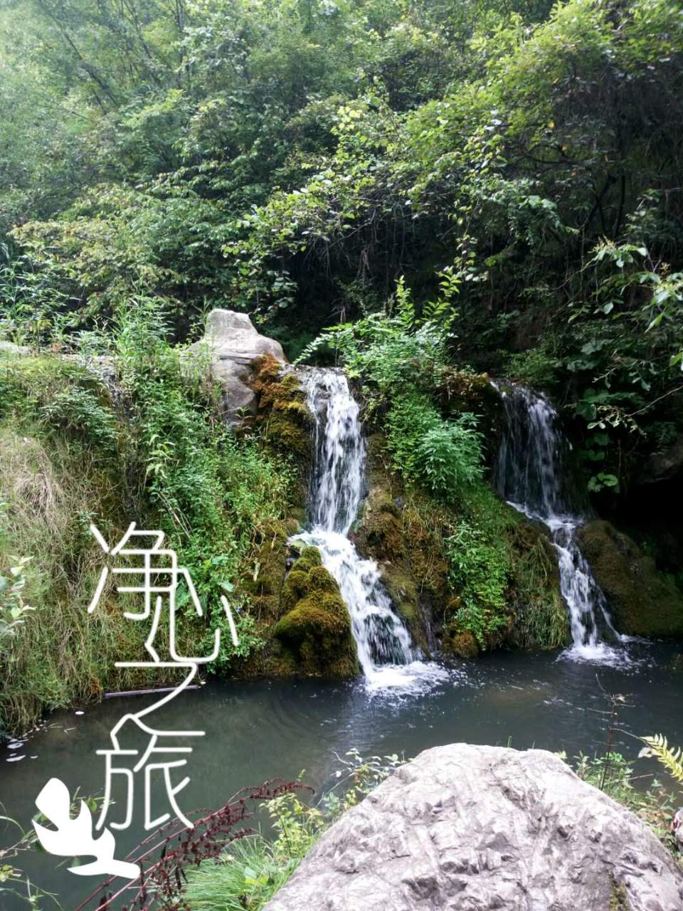 qrRWjtWT5Y3ZpLbauDEGeBeSEXEu8OvJJxtH6ybxaZXRONQBRHQV6wZCBWAHvTOF