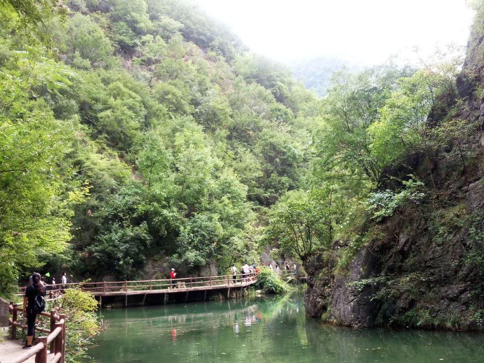 j5ALpm5182q6TQFZ8f8Bi3Zh5FRpnM5kL4YTF7pf_8ZR0jJGPQa5lYblz9lU4Zpp