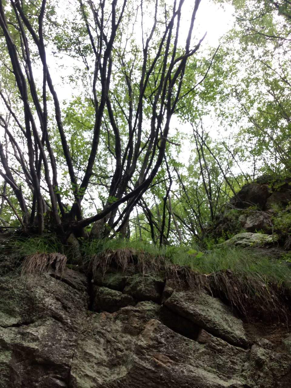 vApJ1eOn36IgC9snoZ5WD0buaT7uj1_RKmL7QH_mbEKRScugLTwmCg7jAlU2U7_c