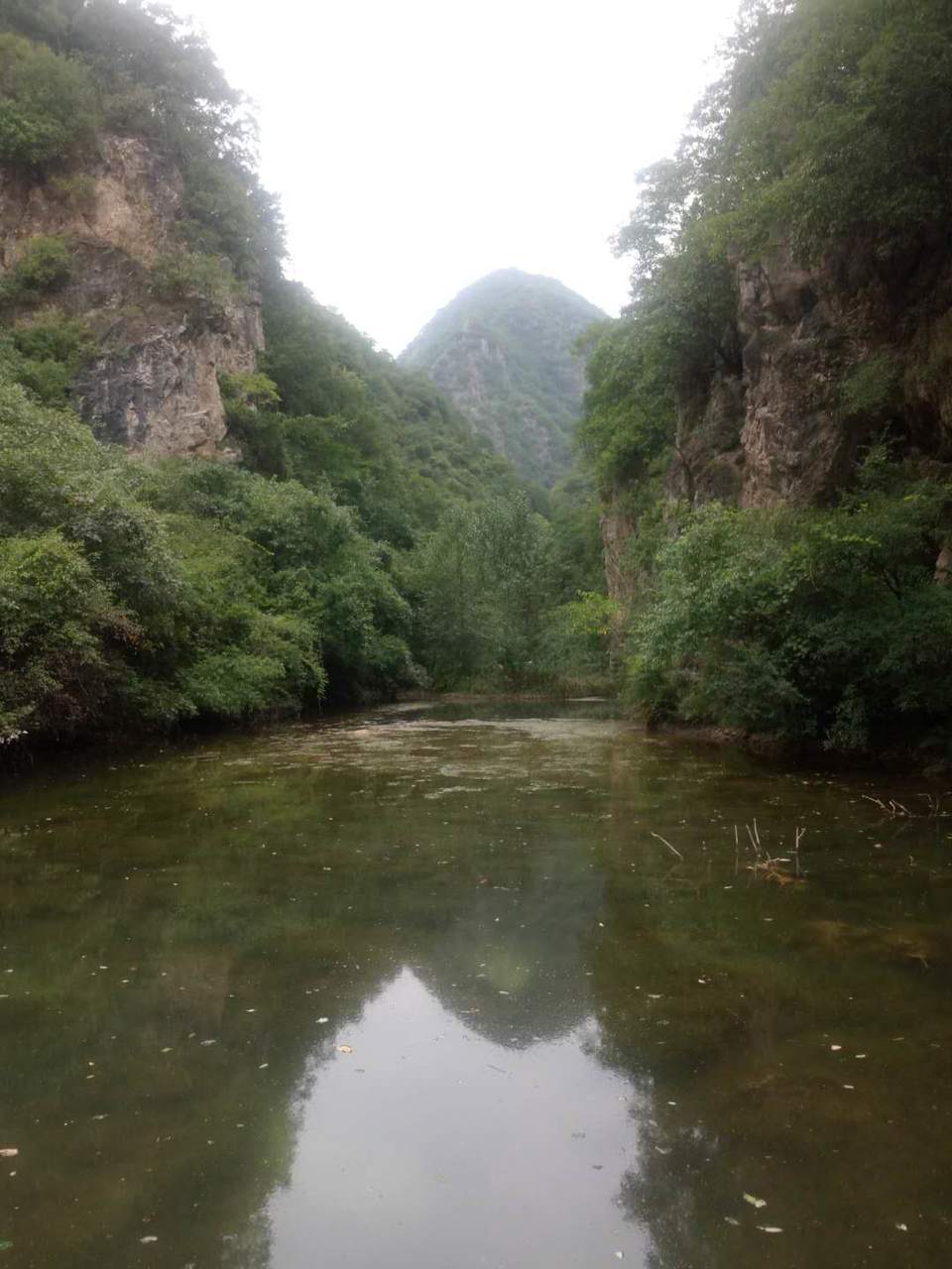 Musl3R0waYpmGuMRPM-ahi3of0awwF1ZyBzJ_sYQ0UDwQenfgQcFFZLJGJ-bLn_T