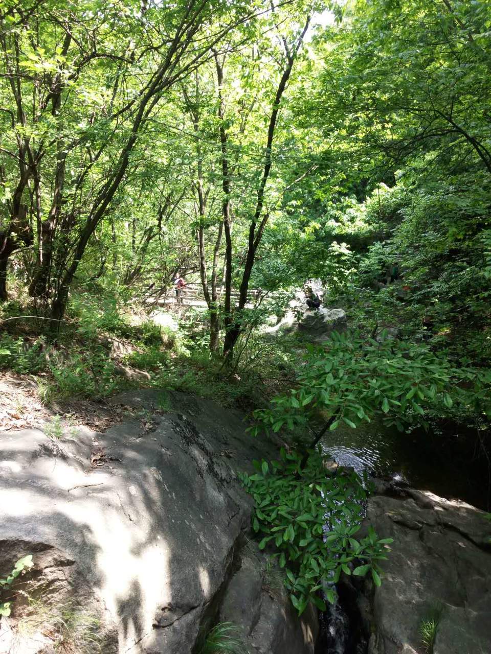 Q7RRqToEUSvz4gPqTh10Tm8tMG706ZmELlq2_kJDFcEFWgcrV6qwi3f2Vm-5qUzx