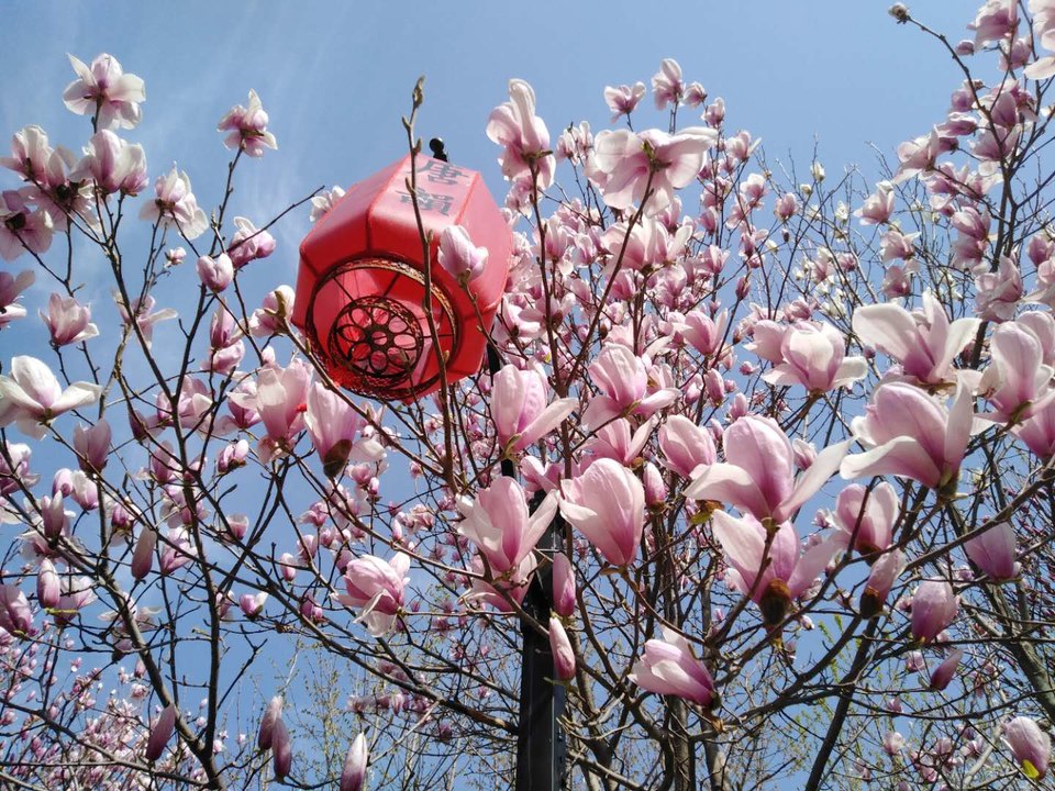 2UEFGgIi2cWxCRY6Xu1ZRYQkyb0tDqRzaw5wgaTggwbFf9d5b_B5WJfCHPF10XGn