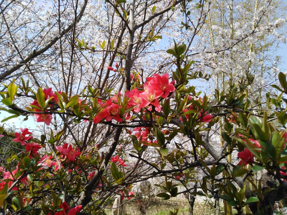 G0-ANuLkb3a-6lmuZJGy4DGxcQ4sNQm2qYB2ci7kCWRLnWZrYr49y7TQALf0Y6mH