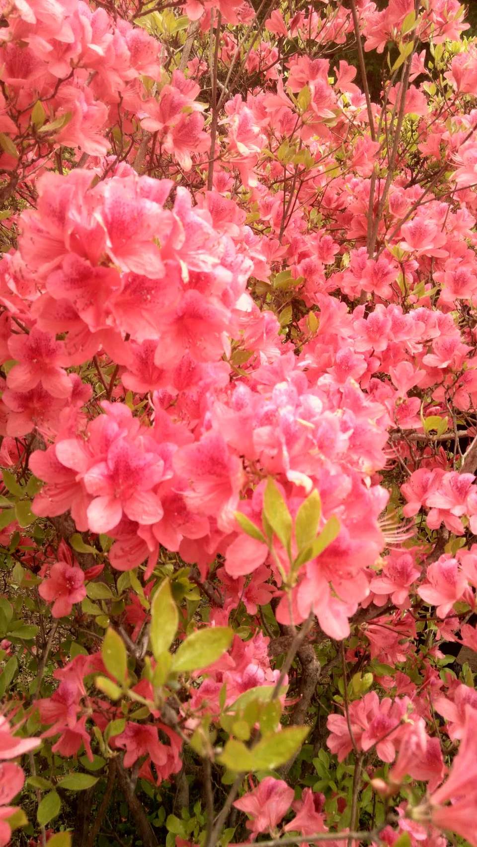 vApJ1eOn36IgC9snoZ5WD2O6LOhATXJ--KJWA9mA88qHOPuohrShXXk2sy4P-aZd