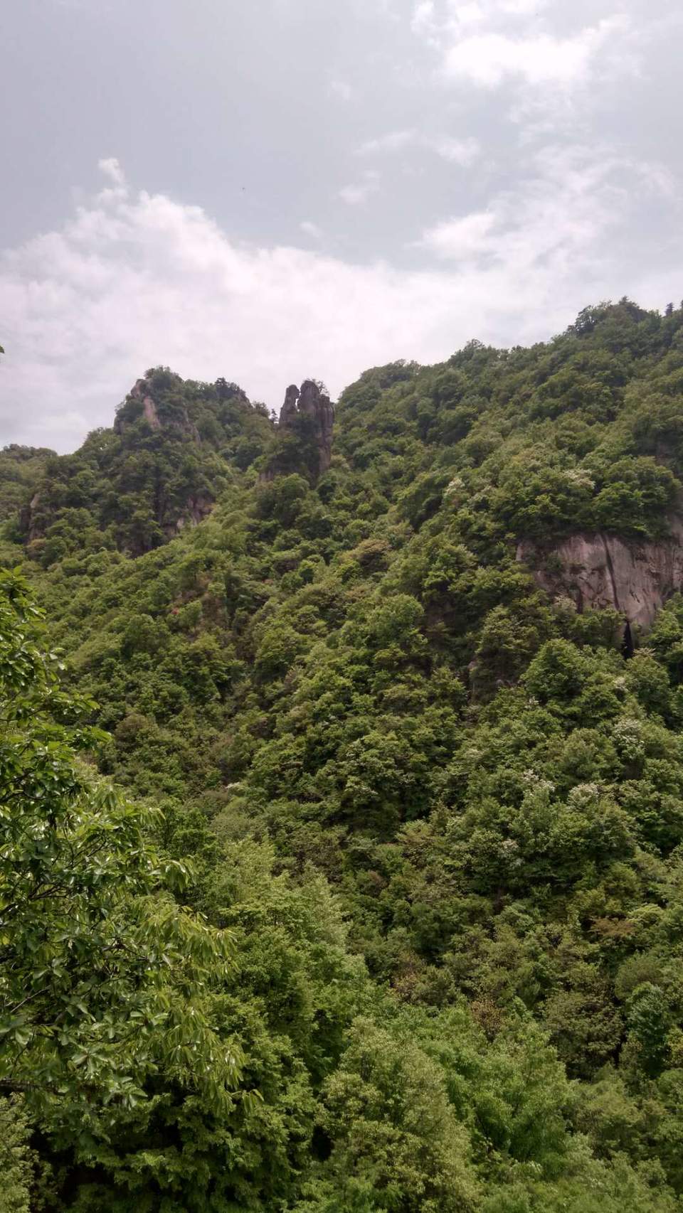 pEOKGV6L3VGVDCAT7CrXSMbWOhlL-_HJrYMT23AcjJSF5uUT_3ItibhdwOc3dUCp