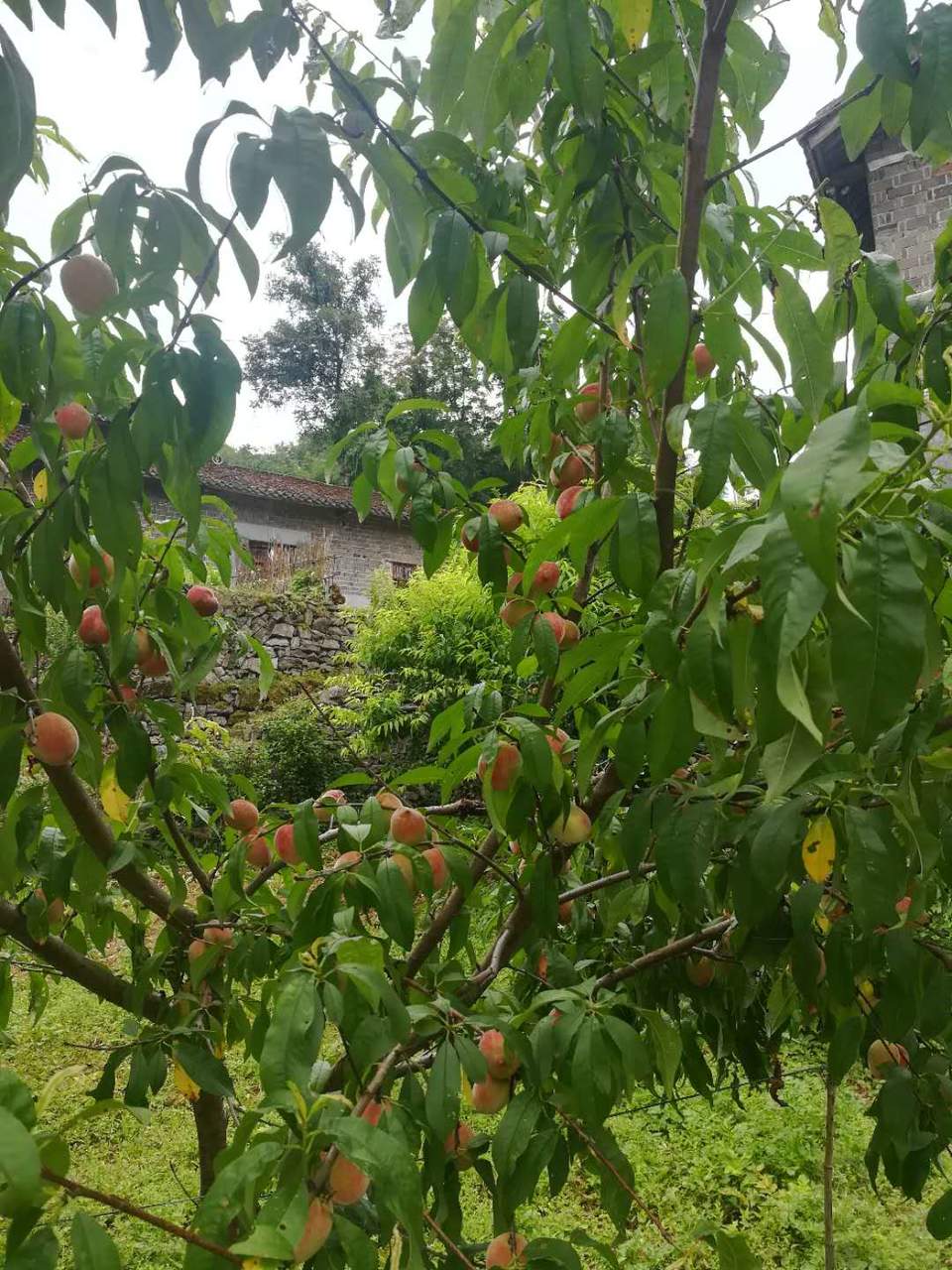 ymgWfoZIWjwYBYlC3vVyvrf5DqTZw_O3r3cwczhkxUAXeiPDyem5K0JPzmknB7si