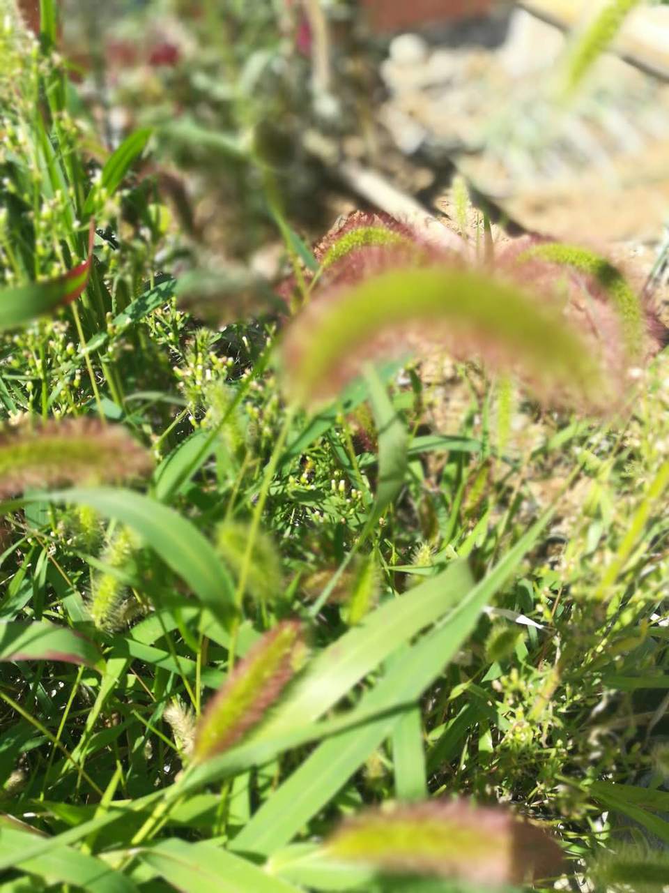 bu4yAUUcnxCtVDi8LeoIwPT2t8Qxh0MsoDeizuhN0jYJbKzM6ChiwRi2KARF3kTl