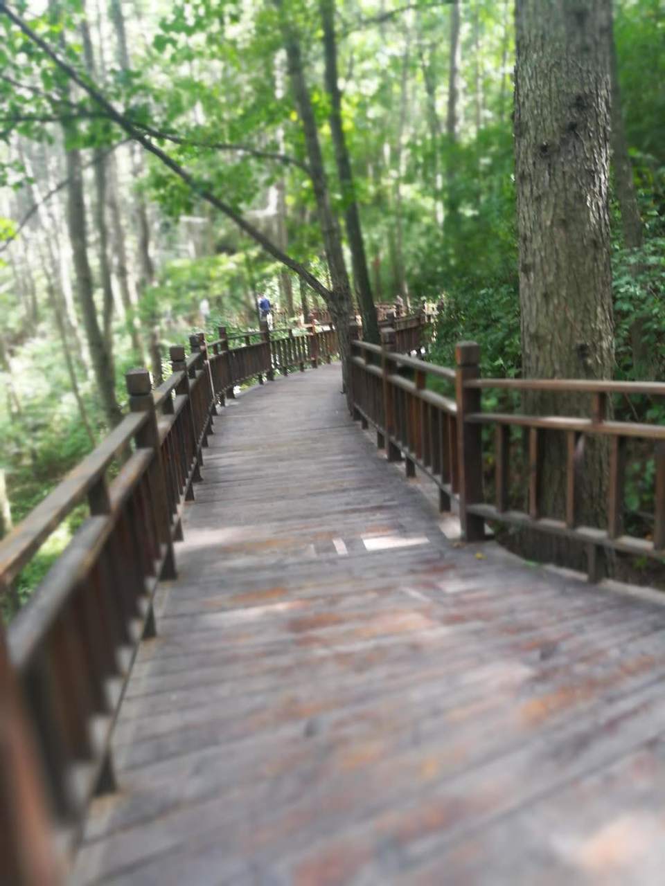 pGdfHqD52yhUgHh6UVBEw7-e8IYJZTP5BiiZUMV97wxlJEyKNY0Hk4gRQkxd5lqz