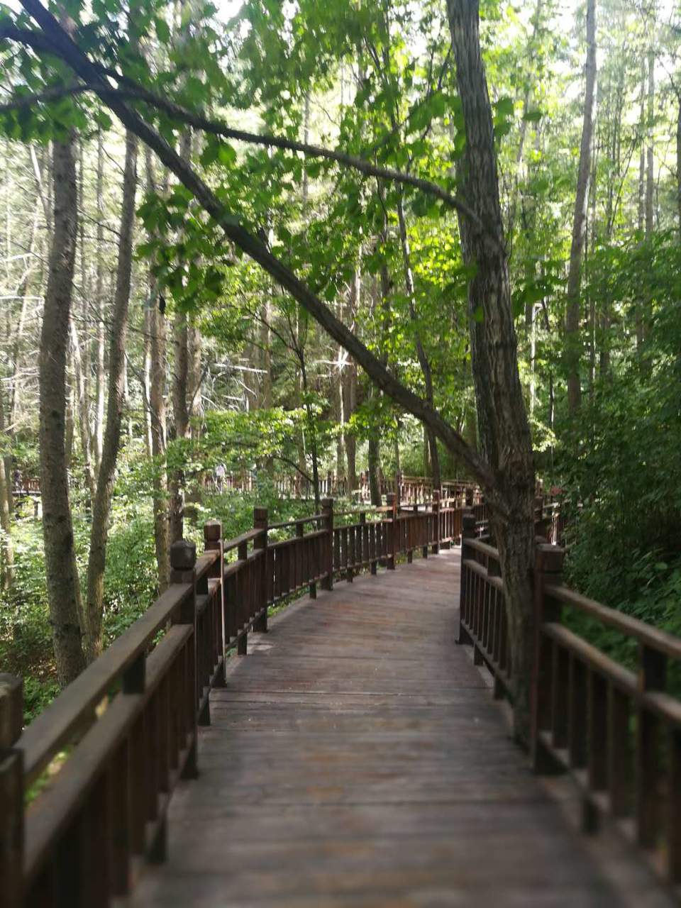 IyxQTcZhBi51wR1RmERupMQrOhga9S0TXfj717hx1TleaQK9qq-_KXtya7M4XfK3