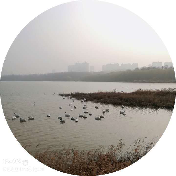 oZ7L9PEYg-lWKem41IWqjSsh46AoWkiTkDF5kI4P_p5hltvJQyb_tYMft5N-96aD