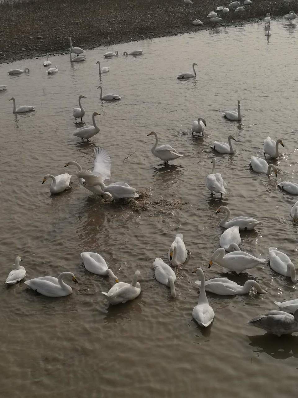 AJ_vu2Oamw7Gl053-eFCEmTlSzc3maQDvDLsly_ykSWFdfKNrI0mzCDFdhrE6C6P