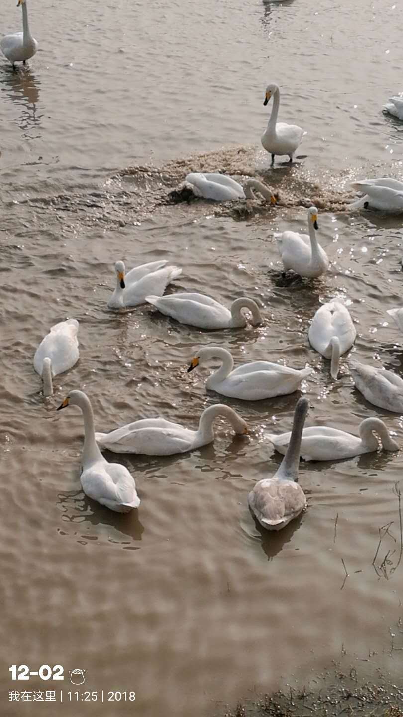 WF3GFH8gknYYc7NKP7mxwKEvWKW2pCQA9vEc7dtkdf7XoXIa3goqMUN5X34W1UrQ