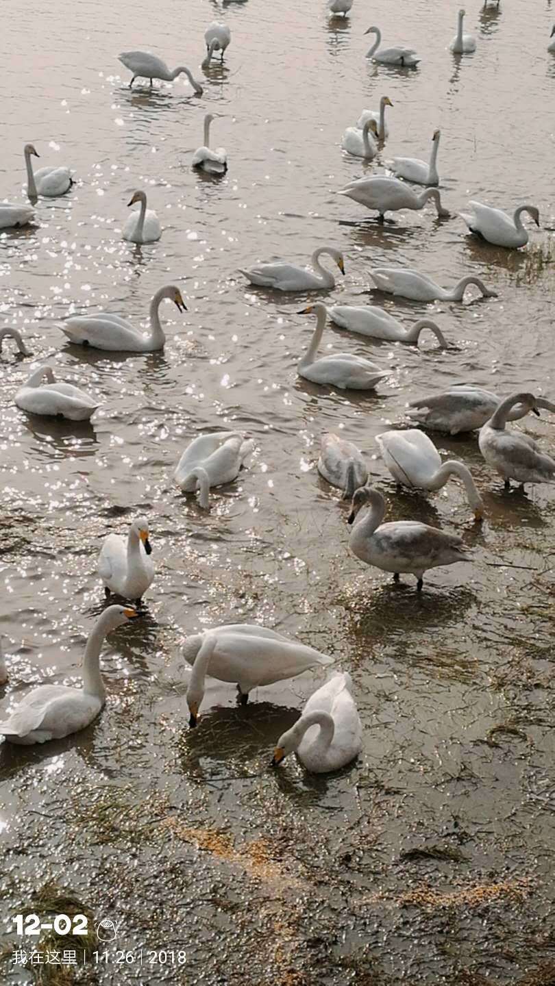 PjxDyhymJXsSuBWkJ9xwyvjYlM6xa1W_Jl00hZS68tnHbnf8A0SRqIIvwRRNgOc9