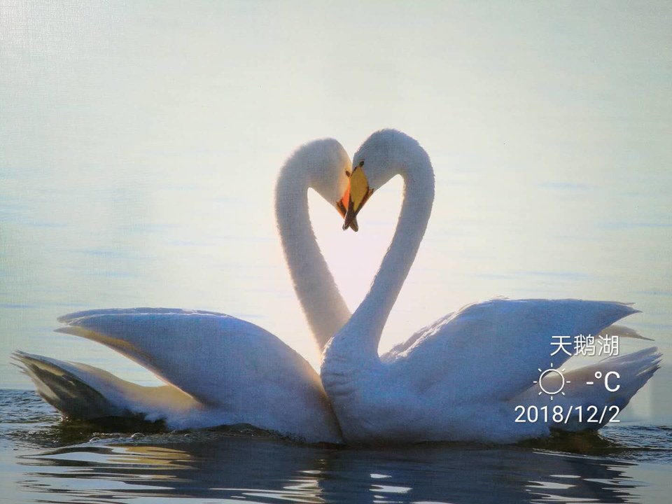 8Af-38_20QvLcO_EOC42inbO6fHghABXFmplcgvAEnfgJSV8k5u7VaG97CFOgaH8