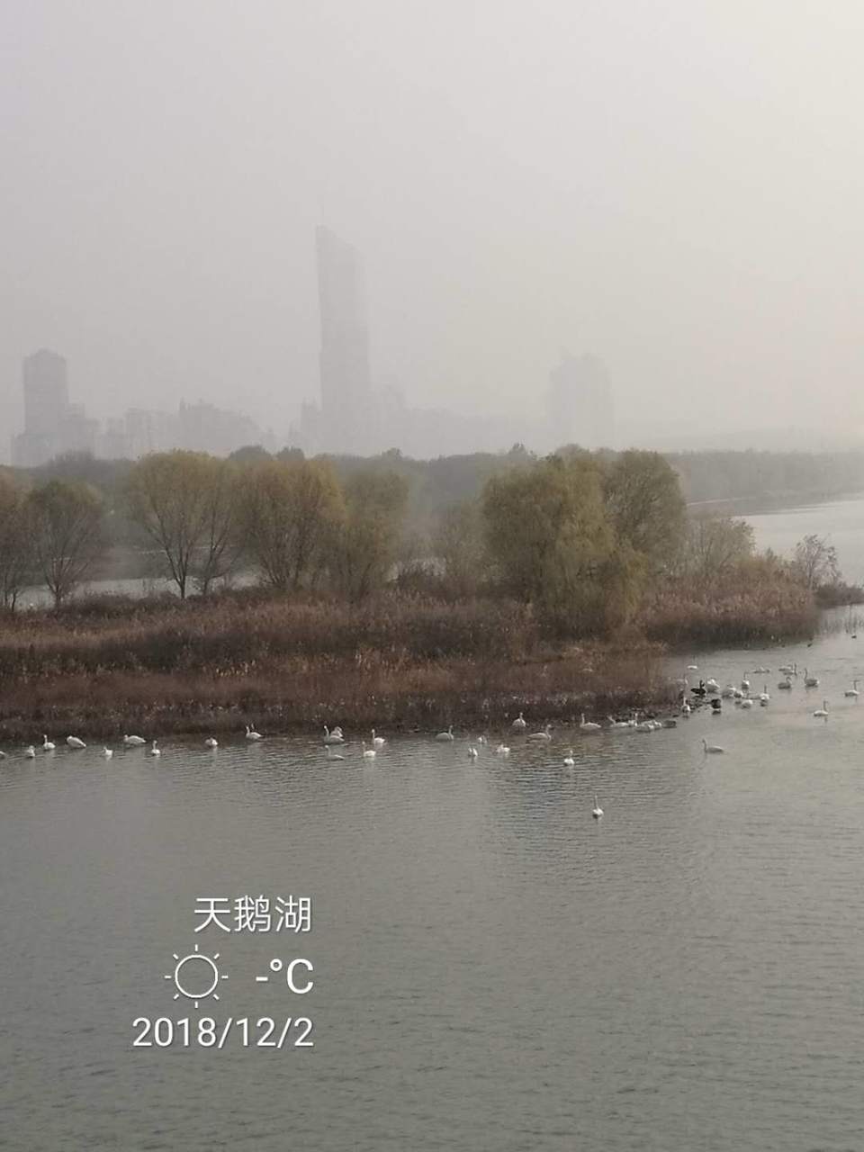 yF74bD0icHKl3ZZCBBMQnfiyVq0NZey4BGgjy_n2gucxlVu_FIeFkCrtGJZcvDVx