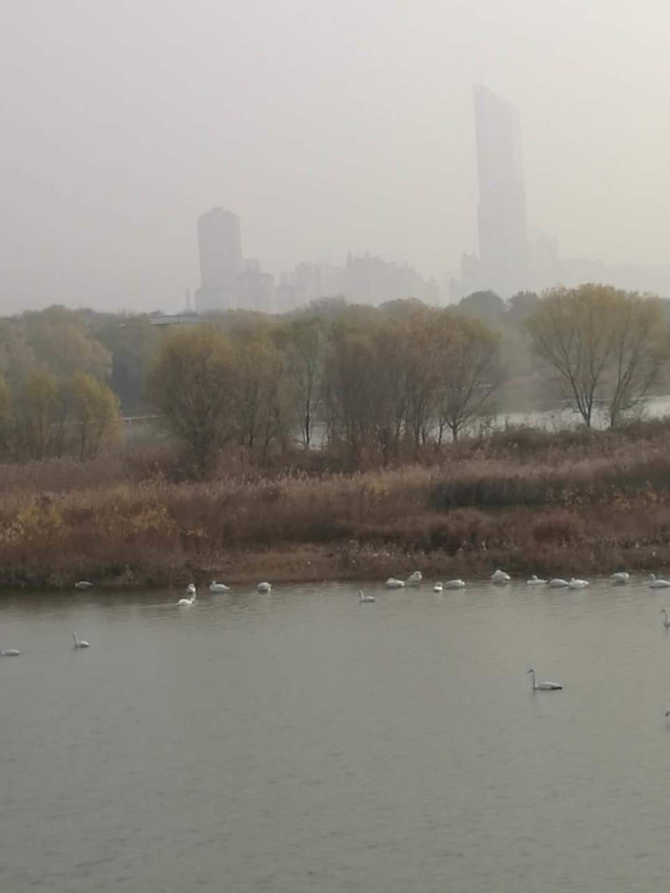 awYk0opjz3eda_xqEWFMQTIn7uZ3MQfFxuL4Cz8w3t5_3DKjJHneV1feUxUnurXY