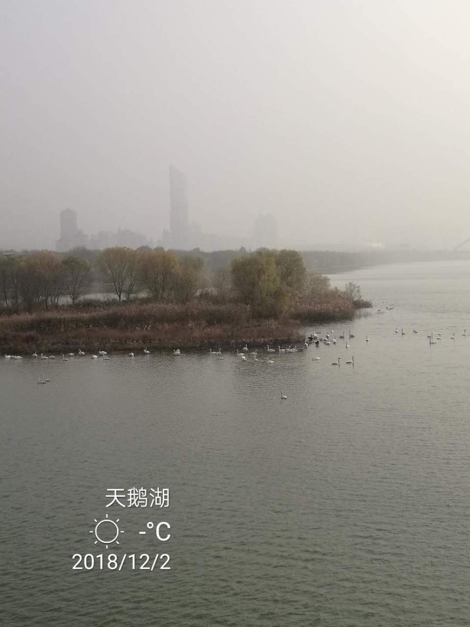 Lyds5AiKbi7Fo_7vqmpMnsk29RqWNqvcYSMXYSgywrjJbzjqzq-JyBs1MsaarZUF