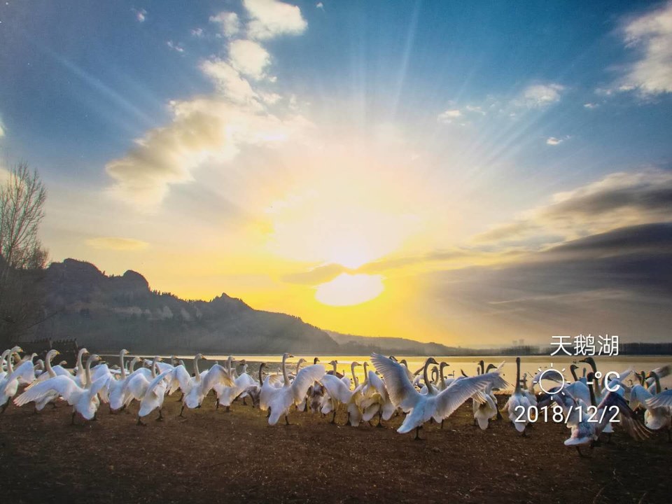 IXs0e0G9ZAreWq-osOmUQpxa6IOdN28ohPi2xITKaJsjJXMDD_jSZTAfNKen-rnH