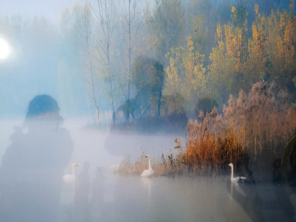 zVBfOoIN7fPXk15I4F33AbzU2YlB3GqmlVlpNzb25qZT4uogFRBuFy1-GgZ1I2_T