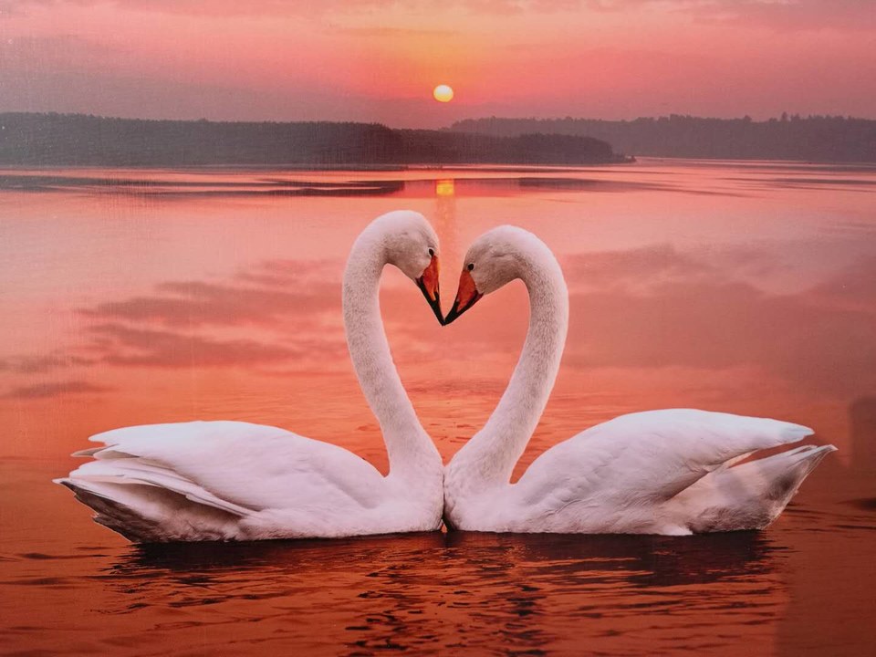 Eo_sqWEw0tmvkk0vHOfGSwFMowfnfr3KZjua_mx4cNKSfc4y1u_QxBVmnOXDT6FL